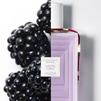 Electric Purple EDP